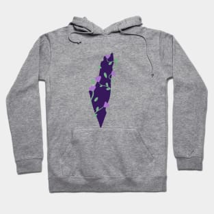 palestine map Hoodie